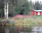 Semesterhus/stuga "Bäckstugan Lofssjön ", Lofsdalen, Härjedalen
