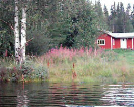 Semesterhus/stuga "Bäckstugan Lofssjön ", Lofsdalen, Härjedalen