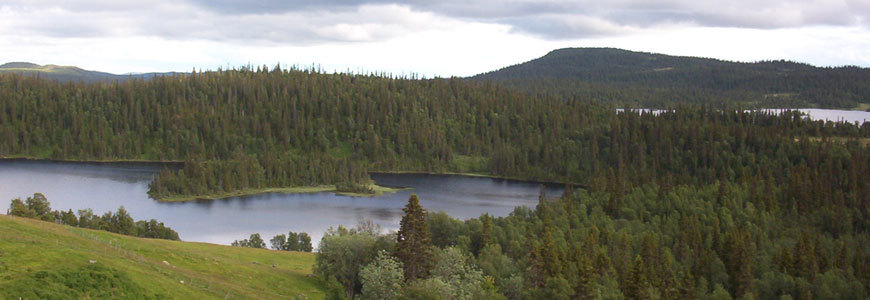 Stuga/Stugor i Härjedalen