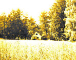 Semesterhus/stuga "Lillebo Lojsta", Stånga, Gotland