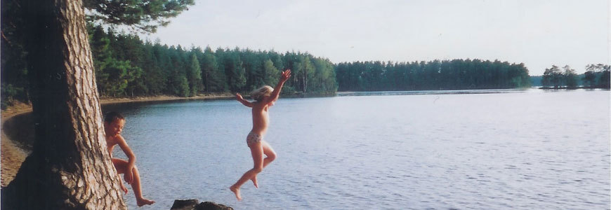 Stuga/Stugor i Hälsingland