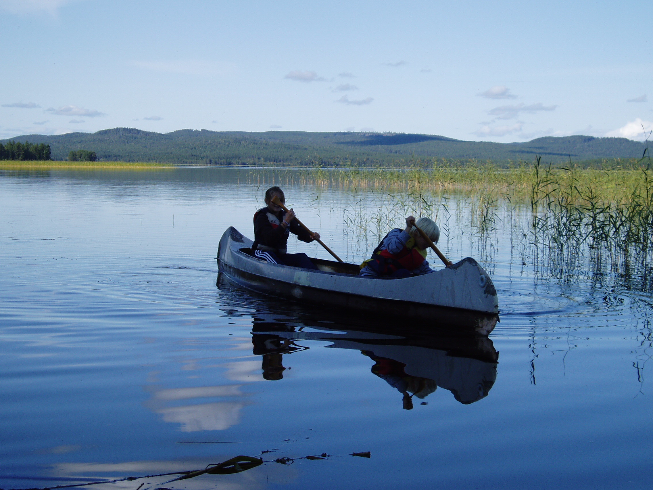 Stuga sverige, jämtland, 84050 bräcke: "northern comfort lodge"
