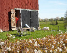 Lägenhet "Sjöladan", Axvall, Västergötland