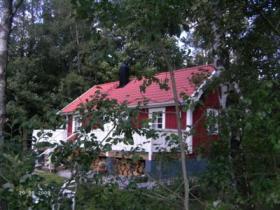 Semesterhus/stuga "Örnest", Holmsjö, Blekinge